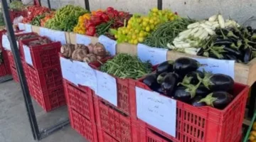 قائمة أسعار المنوفية.. تحديث جديد لتكلفة الخضار والفاكهة في تعاملات الجمعة